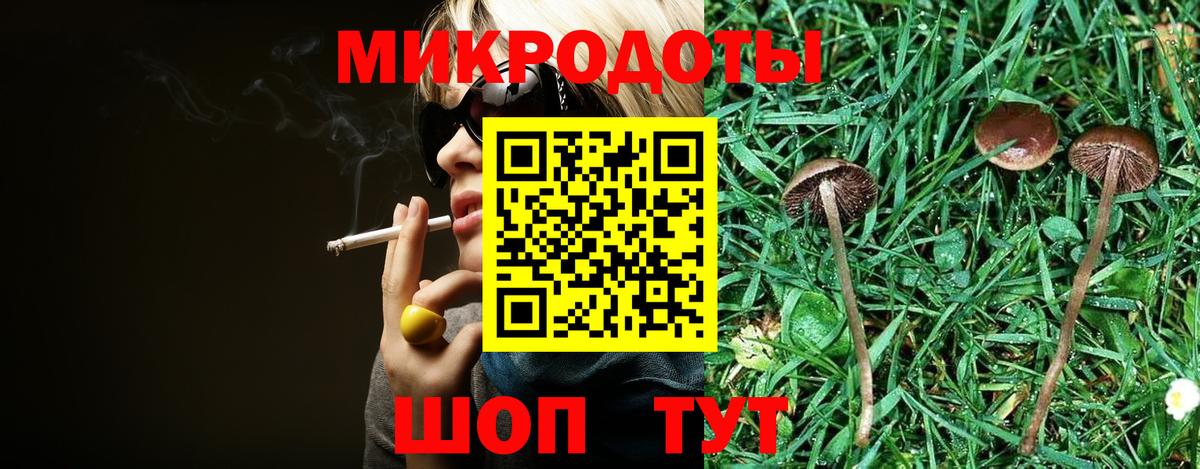 Псилоцибиновые грибы Psilocybe  Галлюциногенные грибы мицелий  Вход с VPN  Заринск 